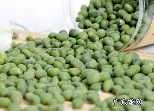 青豆什么时候播种