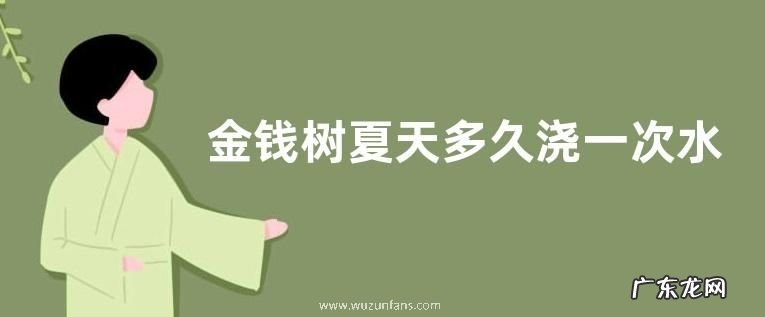 金钱树夏天多久浇一次水
