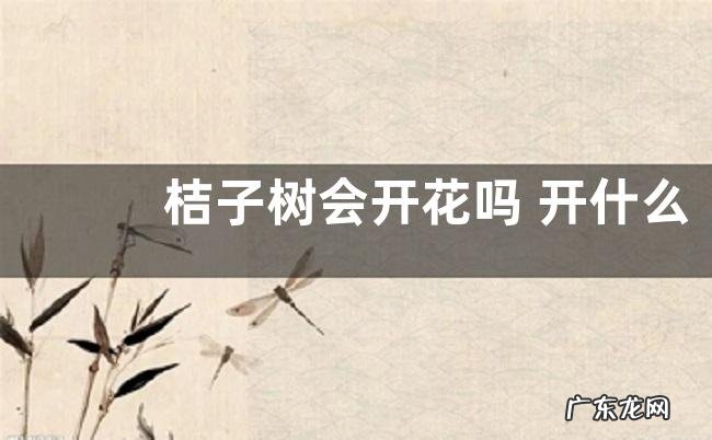 桔子树会开花吗 开什么样的花