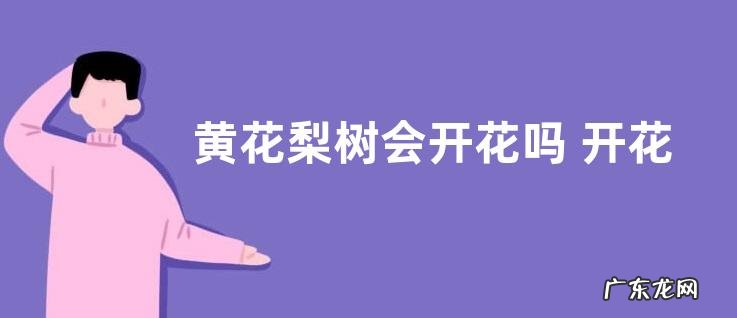 黄花梨树会开花吗 开花的颜色与样子