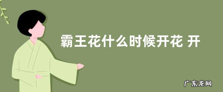 霸王花什么时候开花 开花时间与寓意