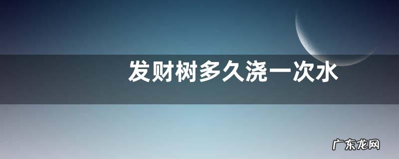 发财树多久浇一次水