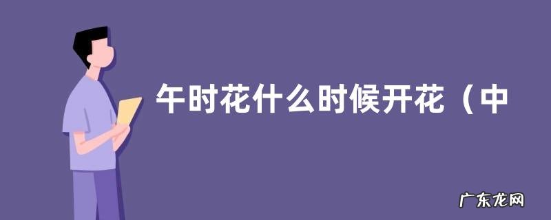 中午开花 午时花什么时候开花