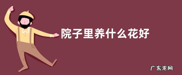 院子里养什么花好