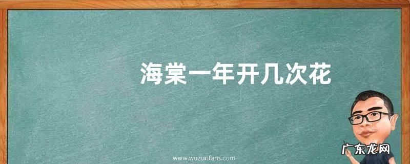 海棠一年开几次花