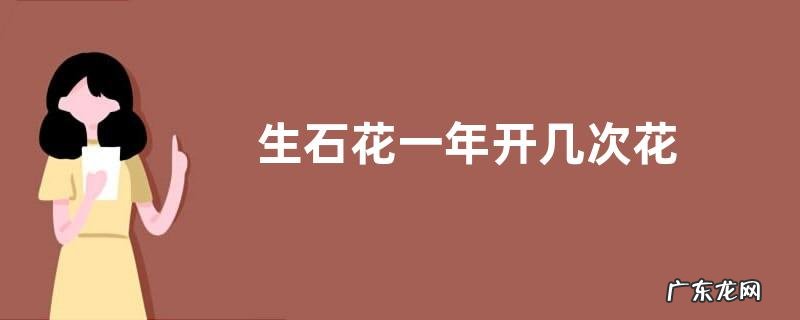 生石花一年开几次花