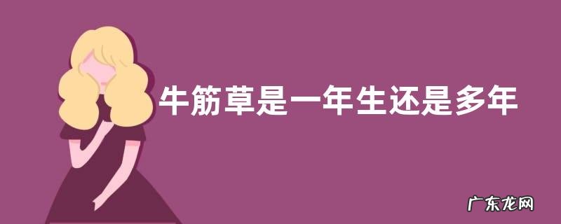 牛筋草是一年生还是多年生