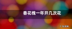 香花槐一年开几次花