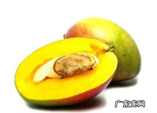 芒果发芽了可以吃吗