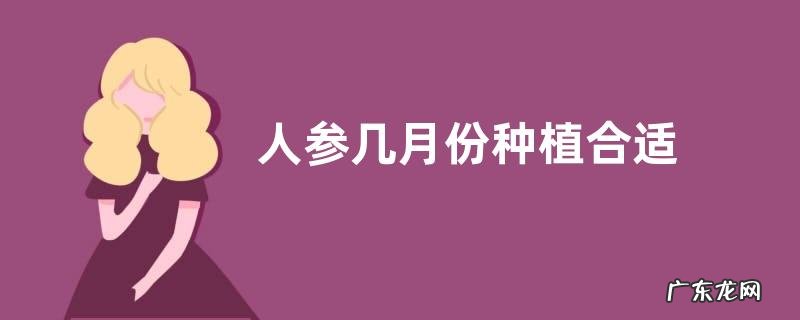 人参几月份种植合适