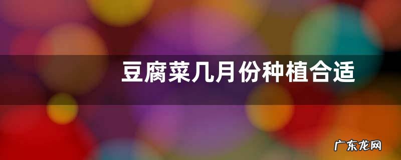 豆腐菜几月份种植合适