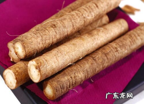 牛蒡是什么植物类别