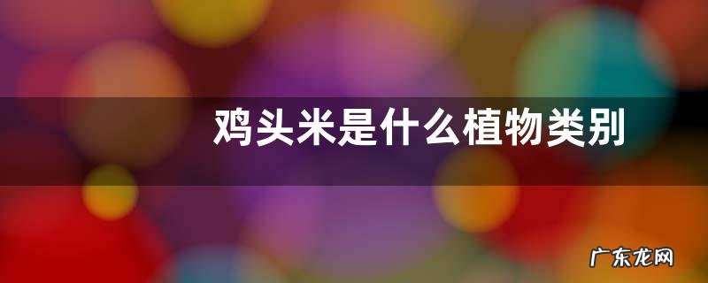 鸡头米是什么植物类别