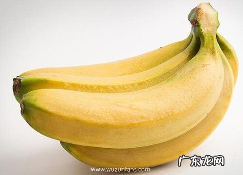 南非盛产什么水果