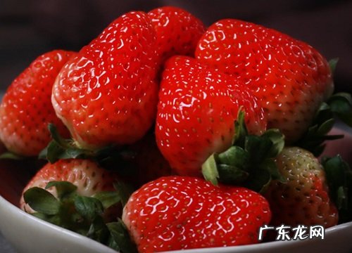 爱尔兰盛产什么水果