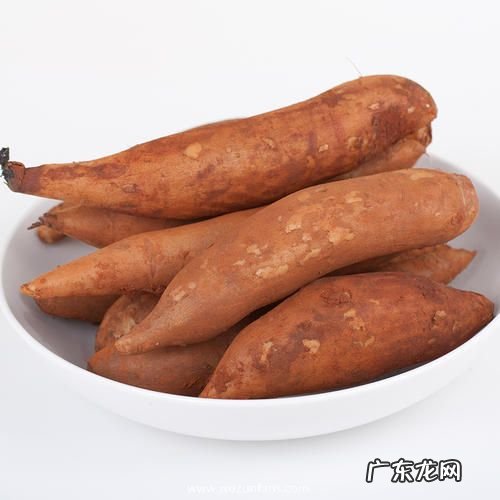 雪莲果怎么留种子 自己收集与获得种子方法