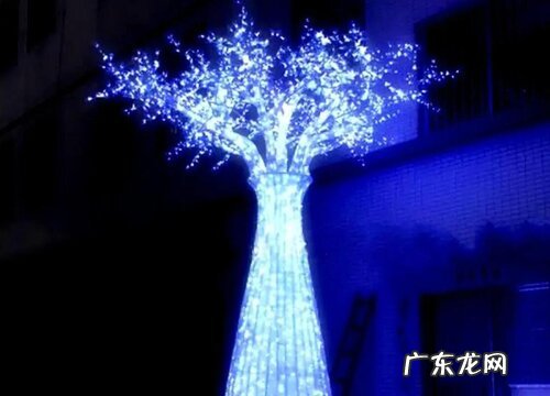 表示诚实的花 花语代表诚实的花