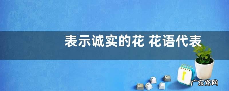 表示诚实的花 花语代表诚实的花