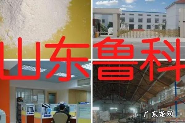 国审玉米品种十大名牌排行榜