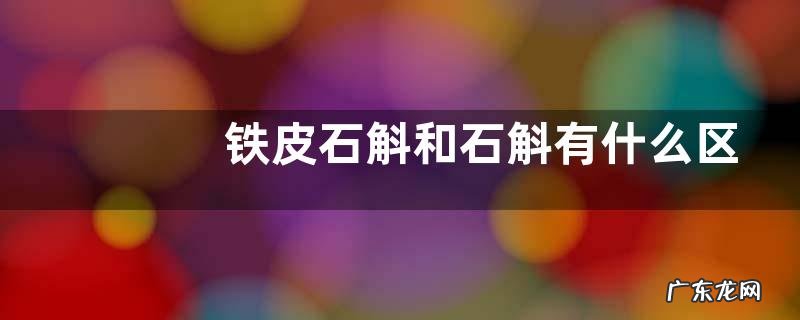 铁皮石斛和石斛有什么区别