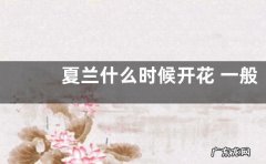 夏兰什么时候开花 一般几月份开花