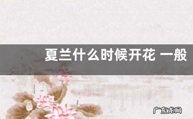 夏兰什么时候开花 一般几月份开花