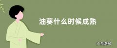 油葵什么时候成熟