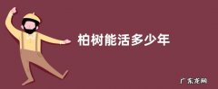 柏树能活多少年