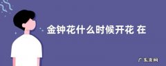 金钟花什么时候开花 在几月份开放
