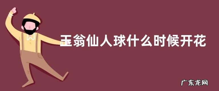 玉翁仙人球什么时候开花 花期时间与开花季节