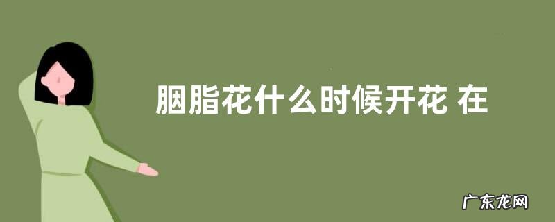胭脂花什么时候开花 在几月份开花