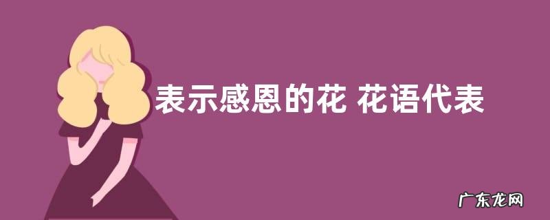 表示感恩的花 花语代表感恩的花有哪些