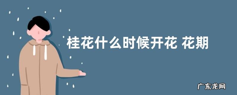 桂花什么时候开花 花期时间与开花季节