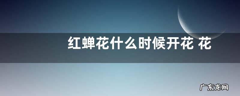 红蝉花什么时候开花 花期时间与季节