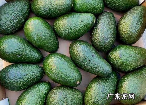 牛油果可以放多久不坏