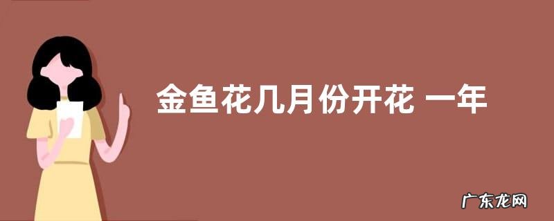 金鱼花几月份开花 一年开几次花