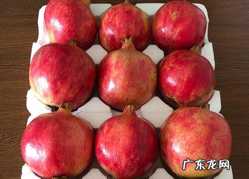 西昌盛产什么水果