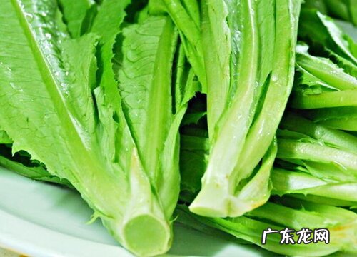 油麦和莴苣是一种菜吗