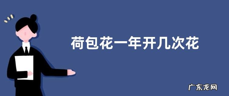 荷包花一年开几次花