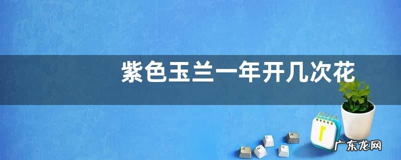 紫色玉兰一年开几次花