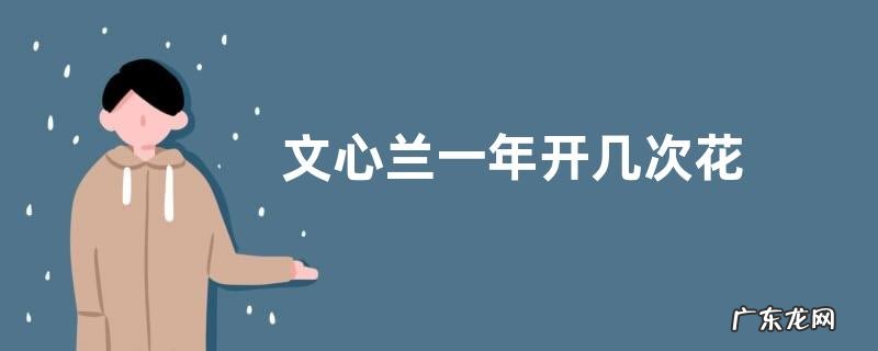 文心兰一年开几次花