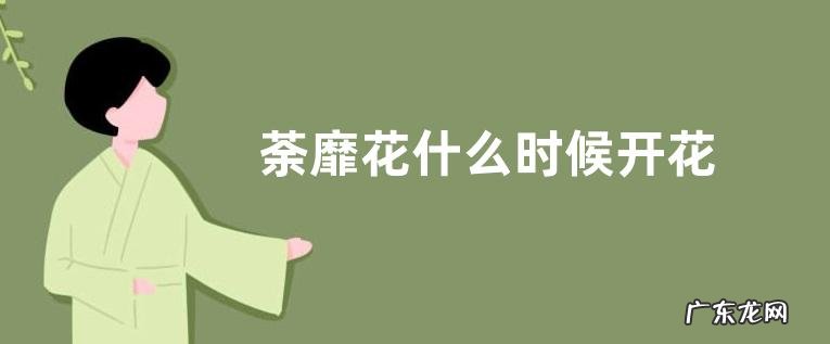 荼靡花什么时候开花