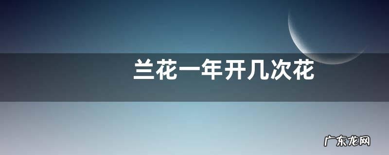 兰花一年开几次花
