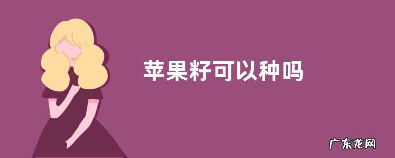 苹果籽可以种吗