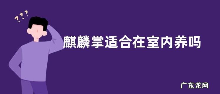 麒麟掌适合在室内养吗
