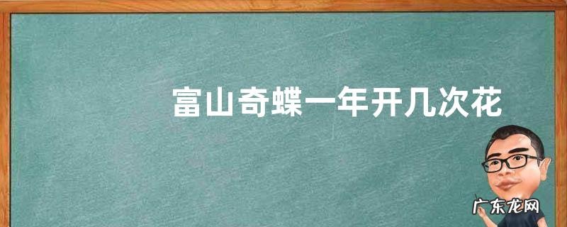 富山奇蝶一年开几次花
