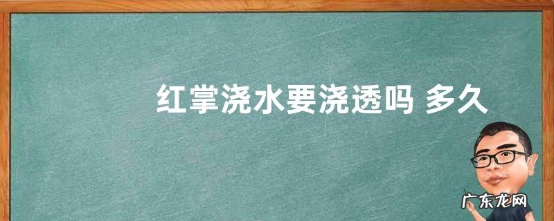 红掌浇水要浇透吗 多久浇一次水合适
