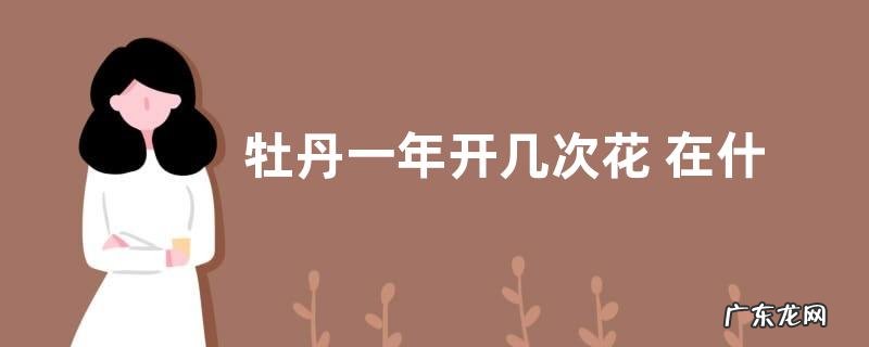 牡丹一年开几次花 在什么时候开花