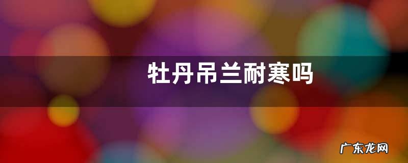 牡丹吊兰耐寒吗