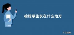 榆钱草生长在什么地方